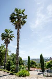 a couple of palm trees in a park at Quinta Tapada do Vale in Vila Meã