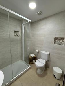 a bathroom with a toilet and a shower at habitaciones tabarca in Tabarca