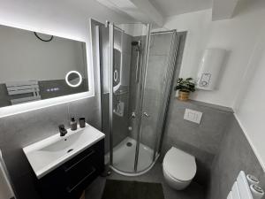 a bathroom with a shower and a toilet and a sink at Steigerwald Habitat in Oberschwarzach +36 photos