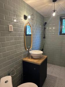 a bathroom with a sink and a mirror at Acasa la Coana Mare in Bălăneşti +16 photos