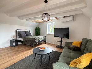 a living room with a couch and a tv at Steigerwald Habitat in Oberschwarzach