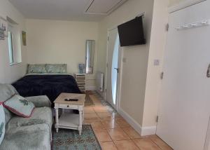 a bedroom with a bed and a couch and a tv at Foxglove House in Douglas