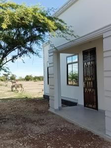 a zebra grazing in a field next to a house at Ubuntu Home in Mto wa Mbu