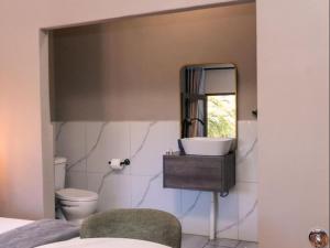 a bathroom with a sink and a mirror at Stay Local Potchefstroom in Potchefstroom +27 photos