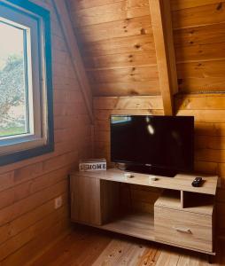 a tv in a room with a wooden wall at Ognjiste Komarnice in Komarnica
