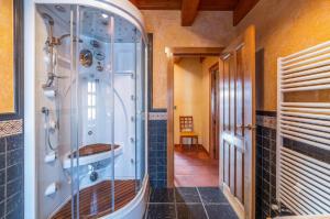 a walk in shower in a bathroom with a glass shower stall at Casa de las Paneras in Benavente +36 photos
