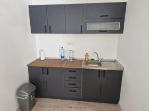 a kitchen with gray cabinets and a sink at Apartman EC Milica in Stapar