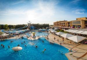 a group of people in a pool at a resort at Juraj apartman studio in Brdovec