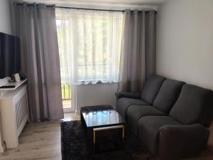 ein Wohnzimmer mit Sofa und Fenster in der Unterkunft APT w centrum in Suwałki