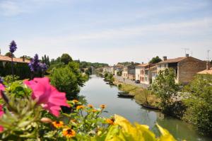 a view of a river with houses and flowers at Maisonnette à Coulon in Coulon