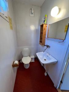 a small bathroom with a toilet and a sink at Örnafälla in Örnafälla
