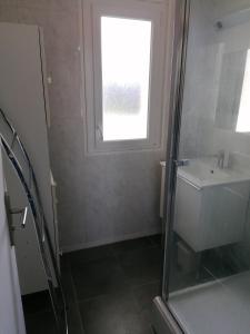 a bathroom with a shower and a sink and a window at Chambre dans colocation à Lormont proche Bordeaux in Lormont +3 photos