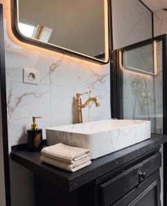 a bathroom with a white sink on a black counter at le petit château in Chambéry +35 photos