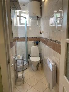 a small bathroom with a toilet and a window at Tulika korter in Paralepa