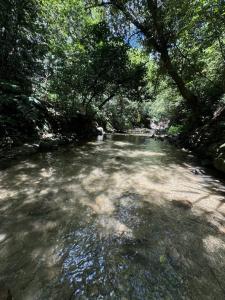 Paisatge natural a prop de l'hostal o pensió 1 foto més