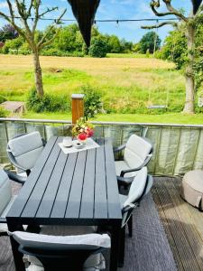 a table and chairs on a deck with a view of a field at Ferienwohnung DE VRIESenkoje in Südbrookmerland