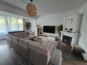 a living room with a couch and a fireplace at Green Terrace Residence in Zalaegerszeg