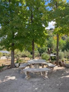 a stone picnic table in a park with trees at Villa Horta in Horta