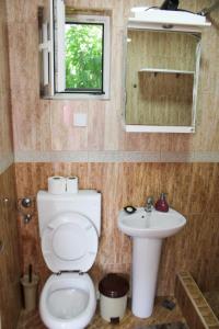 a bathroom with a toilet and a sink at Bellora Studio House in Donja Jošica