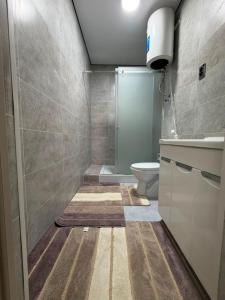 a bathroom with a shower and a toilet and a sink at Kol-Ukok Hotel in Bol'shevik +43 photos