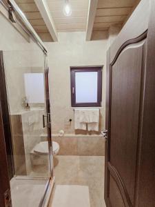 a bathroom with a shower and a toilet and a window at Belis Chalet in Bălceşti +28 photos