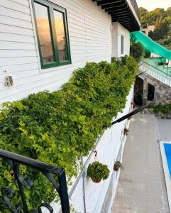 a balcony with plants on the side of a house at Chalet Duplex N 6 avec piscine in Bouzareah