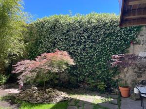 a large green hedge with trees and plants at SecretGarden - Levico Terme in Levico Terme