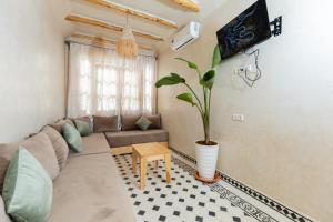 a living room with a couch and a potted plant at KASA GUEST Tamraght in Tamraght Ouzdar