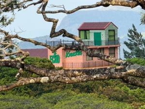 a building with graffiti on it behind a tree branch at ECHO Knuckles Nature Resort in Hunnasgiriya