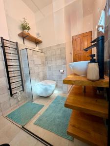 a bathroom with a sink and a toilet at Škorničkův statek - chalupa Andělka s wellness za příplatek in Hamr