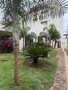 a palm tree in front of a building at Apartamento Parque Trianon Exclusive in Araçatuba