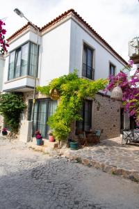 a white building with plants in front of a street at Wind Alasata in Çeşme