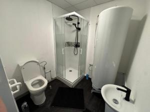 a bathroom with a shower and a toilet and a sink at Le Lilas - 6 in Cherbourg en Cotentin