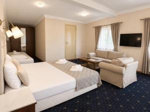a hotel room with a bed and a couch and a chair at Aleksov Complex Aleksion Palace in Ognyanovo +34 photos