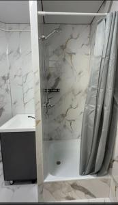 a bathroom with a shower and a sink at Janai Guest house in Karakol