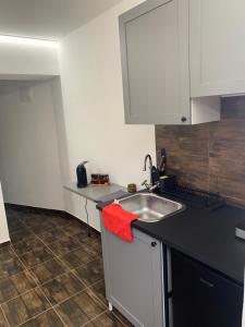 a kitchen with a sink and a red towel on the counter at Apartmány Adam in Sedlec +15 photos