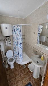 a bathroom with a toilet and a sink at Xigga apartments in Donji Stoliv