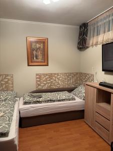 a living room with a couch and a tv at BALA Resort Apartman in Siófok