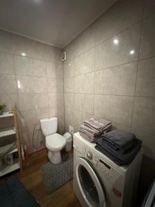 a bathroom with a washing machine and a toilet at Sodyba Miegėnuose in Miegėnai +19 photos