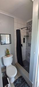 a bathroom with a toilet and a shower at Executive Flat with Stunning Views in Westville +12 photos