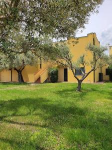 a yellow building with two trees in the grass at Residenze Sant'Andrea in Isca Marina