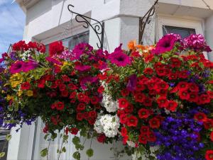 ein Blumenstrauß, der von einem Gebäude hängt in der Unterkunft Dolphins Hotel in Bournemouth