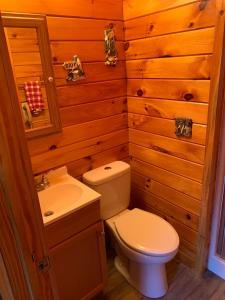 a bathroom with a toilet and a sink at Private with a Beautiful View House in Afton +17 photos