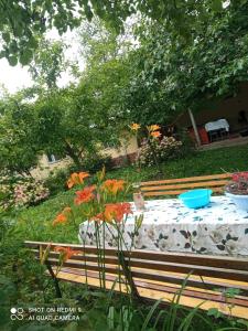 a wooden bench with a table in a garden at Фазенда in Gabala