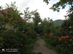 a path through a garden with trees and flowers at Фазенда in Gabala