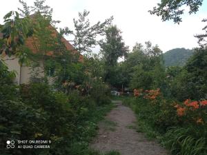 a dirt road next to a house with trees and flowers at Фазенда in Gabala