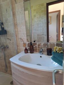 a bathroom with a sink and a shower at Studio sisco in Sisco