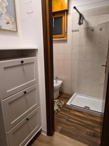 a bathroom with a shower and a toilet and a sink at Nuvola in Ravascletto +9 photos