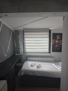 a small bedroom with a bed and a window at Apartman DALIAROSE Sarajevo in Sarajevo