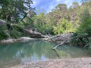 a river with a tree branch in the water at Tente Cocoon in La Brillanne